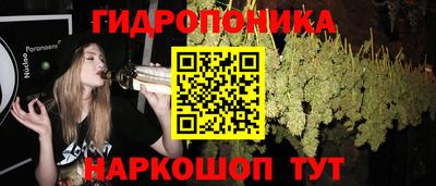мяу мяу мука Моздок