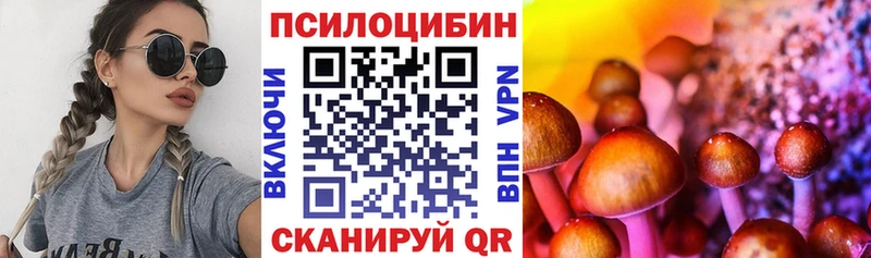 купить наркотик  Новокузнецк  Галлюциногенные грибы Psilocybine cubensis 