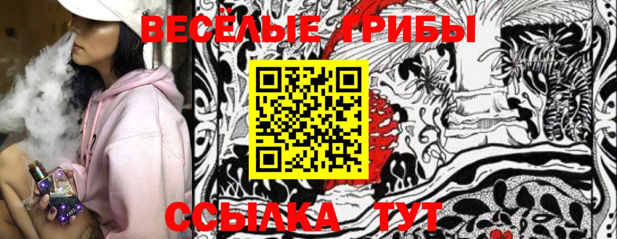 Галлюциногенные грибы Psilocybine cubensis Новокузнецк