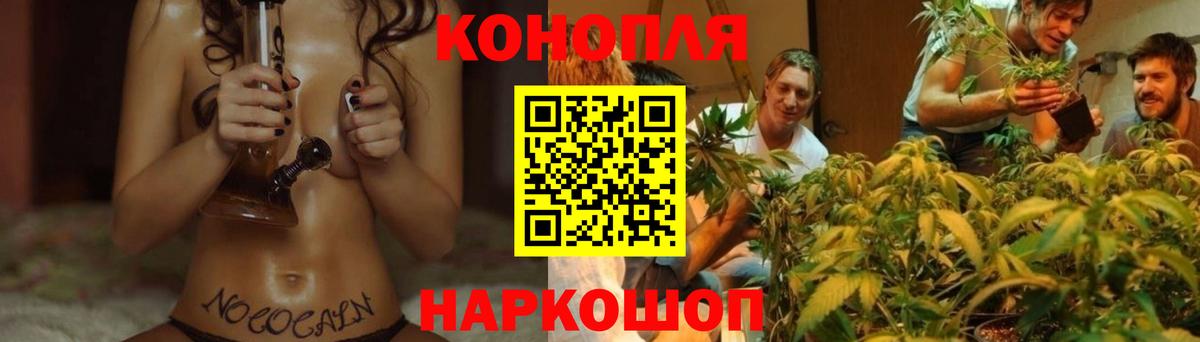 Канабис план  Марихуана планчик  Бошки марихуана тримм  МАРИХУАНА VHQ  Вход с VPN  Новокузнецк 